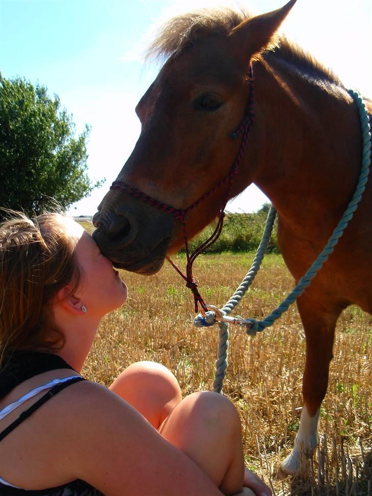 Pinto Aragon - Savnet - en ordenlig møsser! :D Foto; Mette Redsted. billede 10