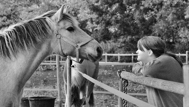 Anden særlig race - Dino (Buller) - 14/10-2010 -
Det er skønhed, som fanger din opmærksomhed, men personlighed som vinder dit hjerte ♥♥♥ billede 9