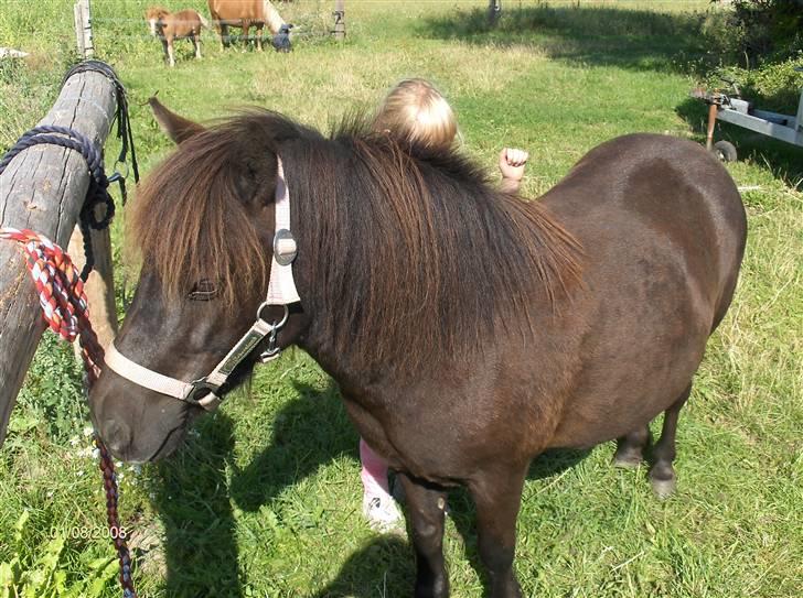 Anden særlig race Cute billede 2