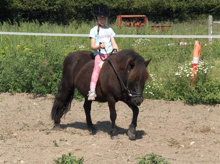 Anden særlig race Cute billede 3