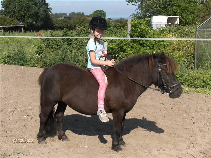 Anden særlig race Cute billede 4