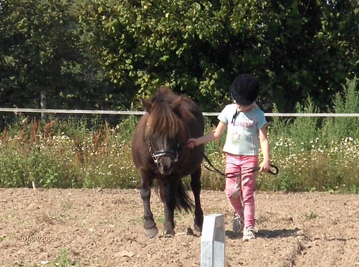 Anden særlig race Cute billede 7