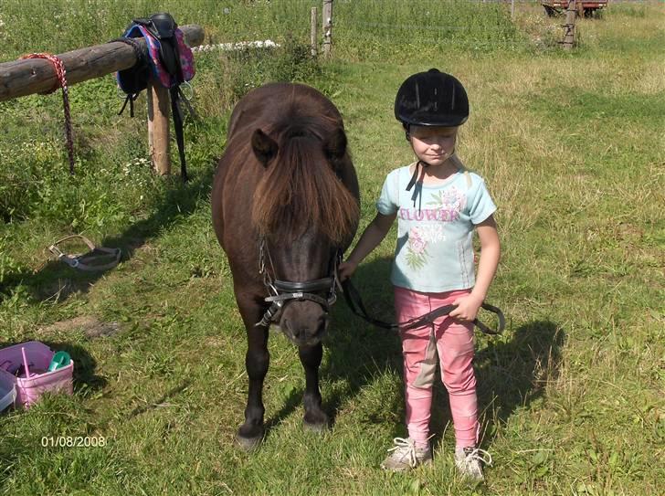 Anden særlig race Cute billede 8