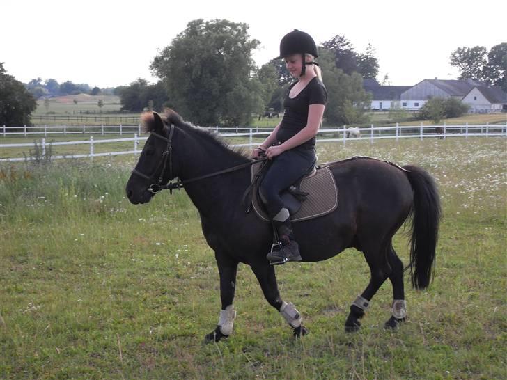 Anden særlig race Rollo <3 billede 2