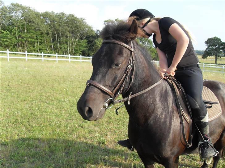 Anden særlig race Rollo <3 billede 7