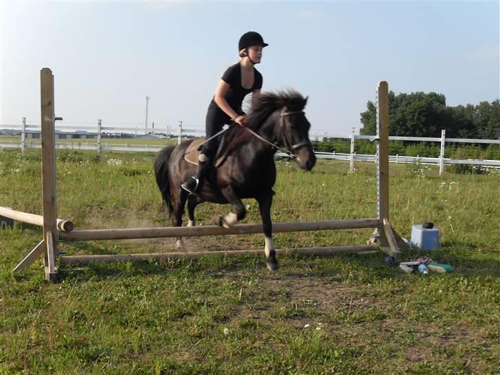 Anden særlig race Rollo <3 billede 8