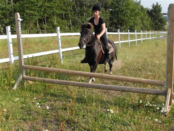 Anden særlig race Rollo <3 billede 9