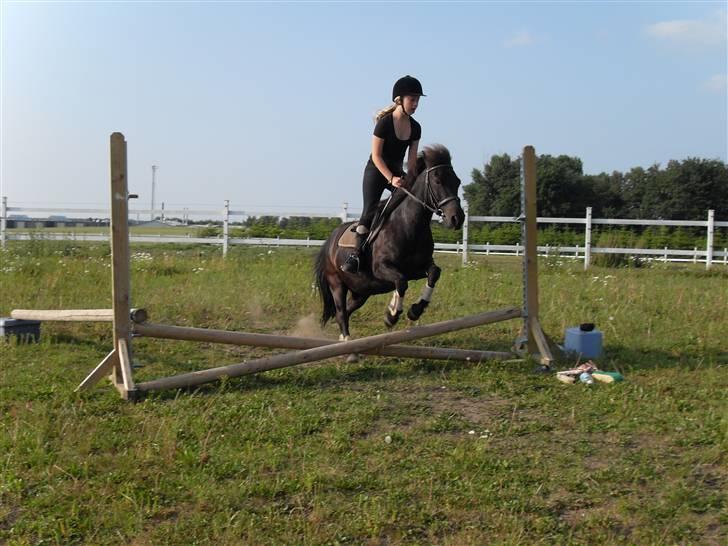 Anden særlig race Rollo <3 billede 10