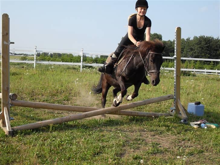 Anden særlig race Rollo <3 billede 11