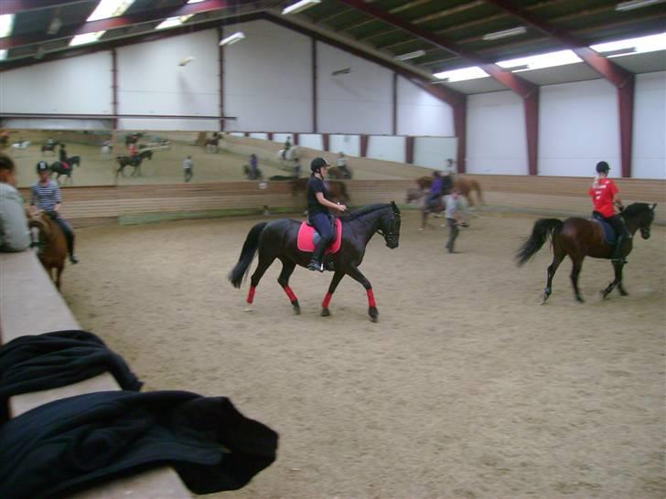 Anden særlig race DONNA - BABY <3 REDET billede 20