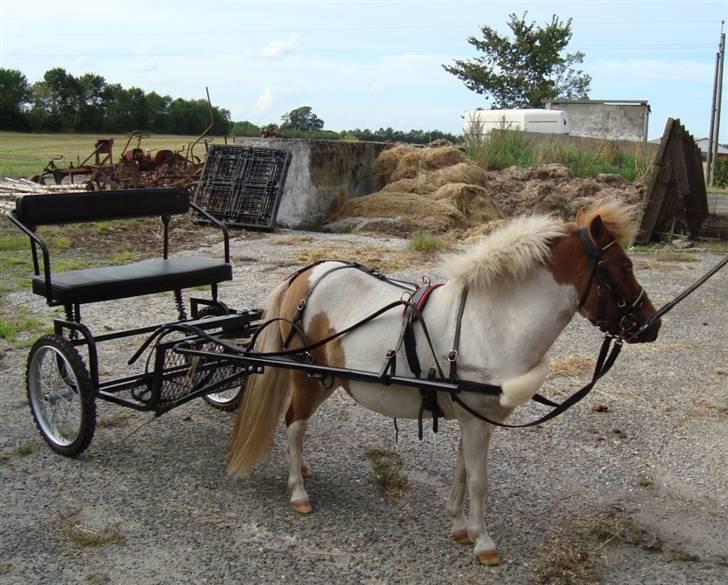 Dansk Miniature Egehøj's Casino Z - Casino for vogn 2 gang, 26.08.2009 billede 12