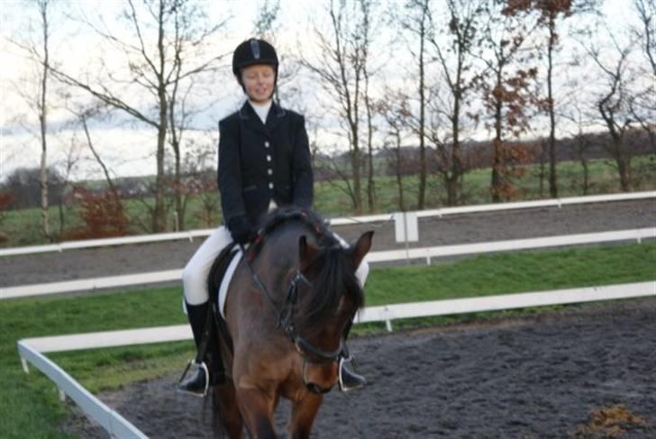 Anden særlig race Strauss (Strussen) <3 - D. 12/12-09 efter jeg havde redet mit program.. Det gik dårligt på banen men udenfor gik det super, som man kan se :P  Foto: Josefine Gade billede 8