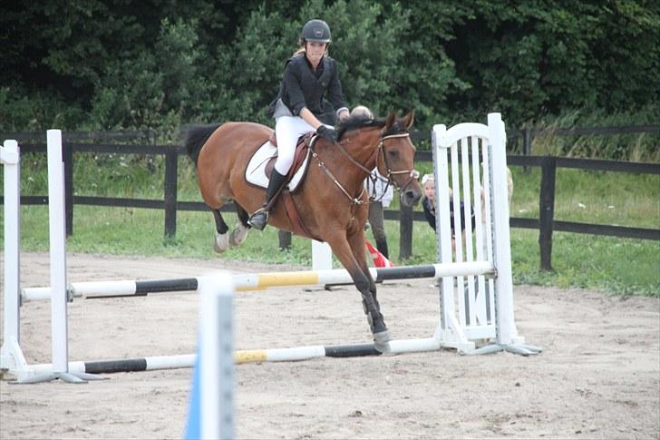 Traver Windy can SOLGT :'(  - springer 1.20 cm ;b billede 3