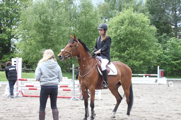 Traver Windy can SOLGT :'(  - springer 70 cm billede 4