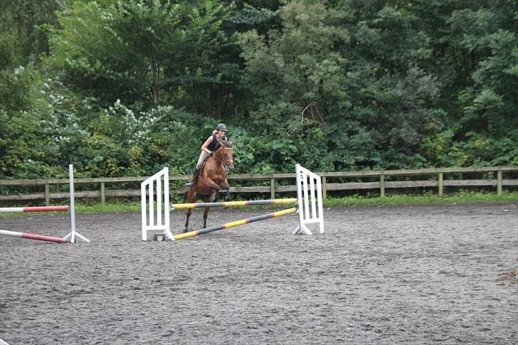 Traver Windy can SOLGT :'(  - jule hesten ;b billede 7