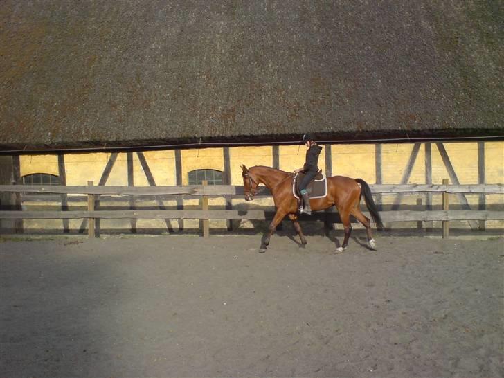 Traver Windy can SOLGT :'(  billede 9
