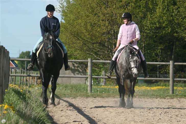 Anden særlig race Freja - Fra træning af d. 11. maj 2009 billede 7