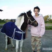 Anden særlig race Pepsi min skat 