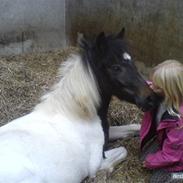 Anden særlig race Pepsi min skat 
