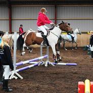 Anden særlig race Freja.