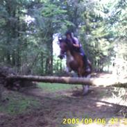 Anden særlig race Freja.