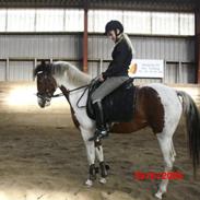 Anden særlig race Marijke   (gl. part)