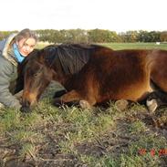 Anden særlig race Odin [bumlefyr] :*