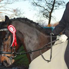 Anden særlig race Yasya - gamle part.