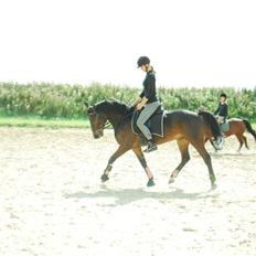 Anden særlig race Yasya - gamle part.