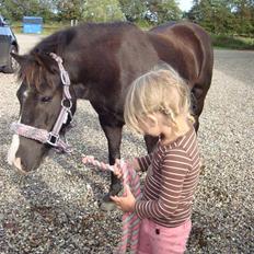 Anden særlig race Stabygårds Mia Maja