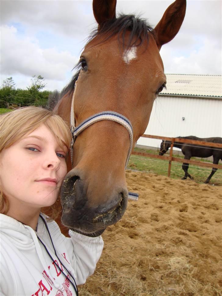 Polsk Varmblod Parta - Mig og den smukke Parta :) billede 18