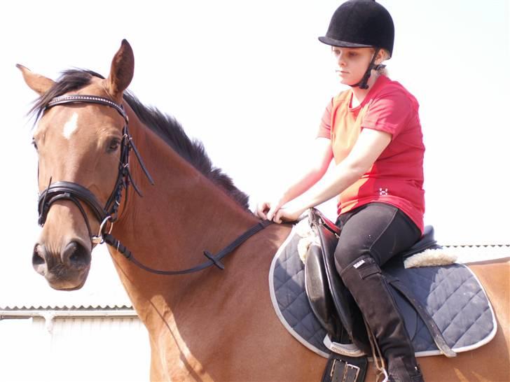 Polsk Varmblod Parta - Tak fordi i kiggede med :) Smid da gerne en kommentar inden i går :) billede 20