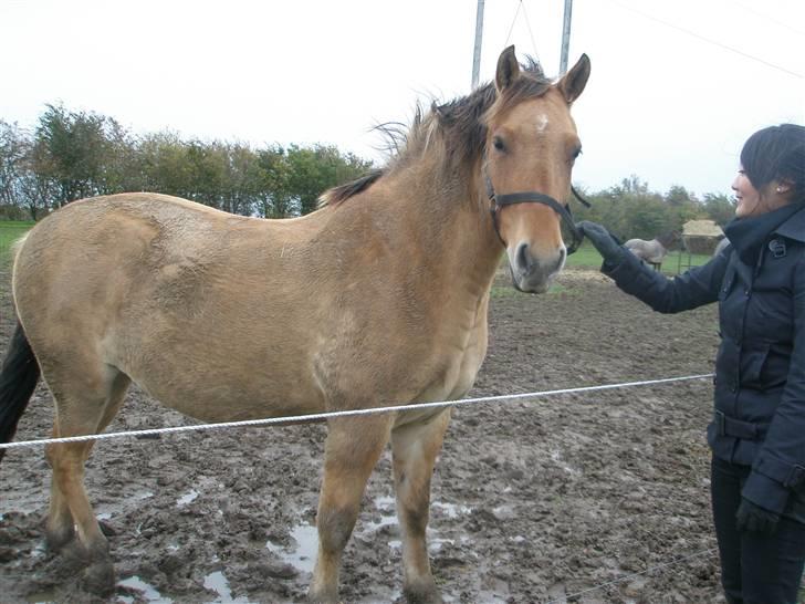 Anden særlig race Frederik *SOLGT* - Frede og min søster 21/10-08 billede 16