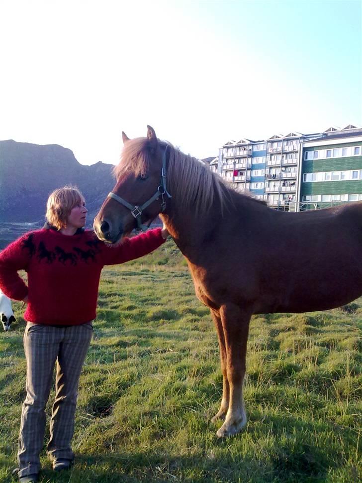 Islænder Geisli frá Hvammi II - pølsen og min mor <3 d. 25/8-09 billede 14