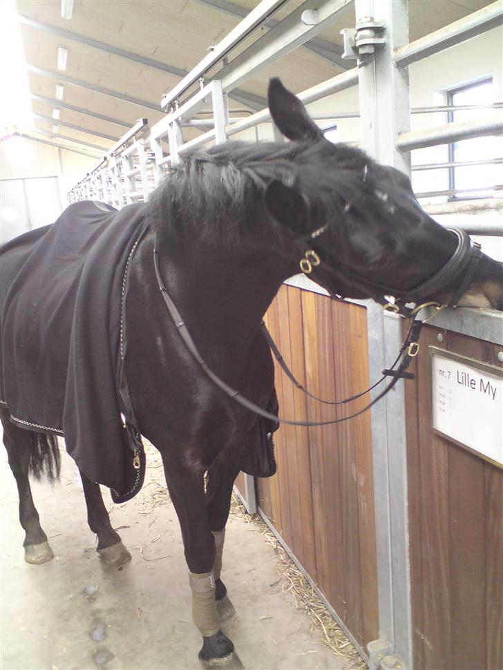 Oldenborg Lille My billede 16
