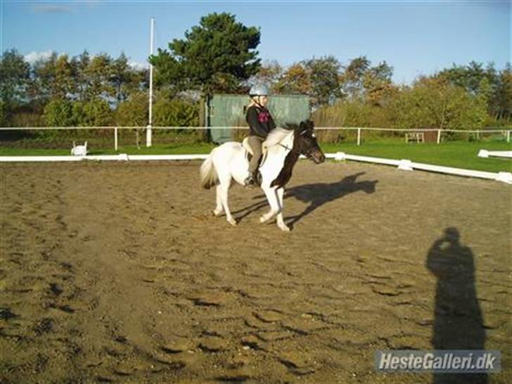 Anden særlig race Pepsi min skat  billede 2
