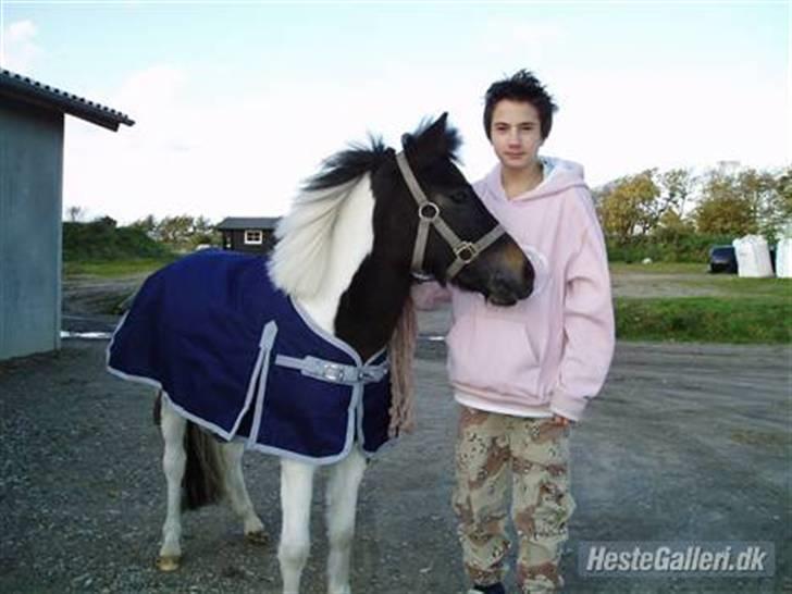 Anden særlig race Pepsi min skat  billede 3