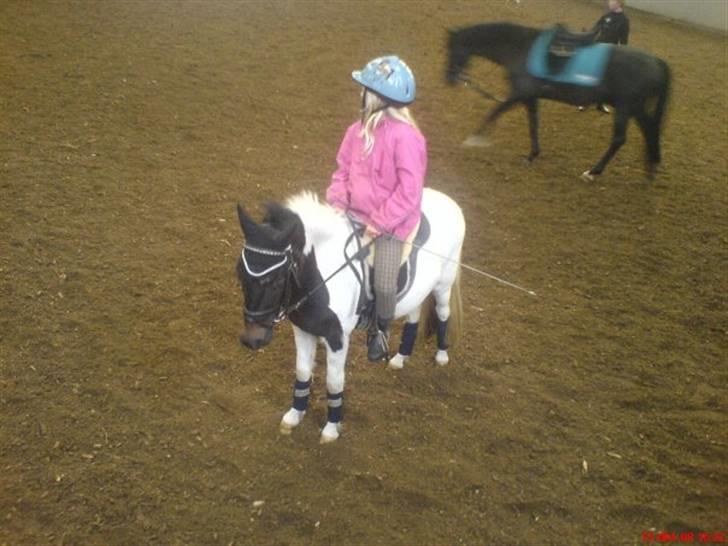 Anden særlig race Pepsi min skat  billede 6