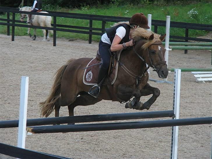 DSP Sig's Jeanne D'arc SOLGT  - JEanne og mig til springtræning, elsker den pony!<3 foto: kirstine/SUPERfotografen;) tak  billede 4