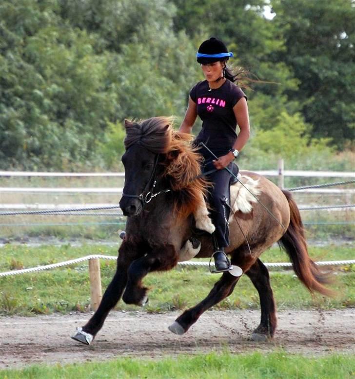 Islænder Drifandi fra Nr. Felding - - og rundt i svinget... billede 4