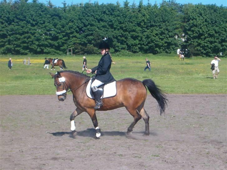 Anden særlig race Beauty billede 2