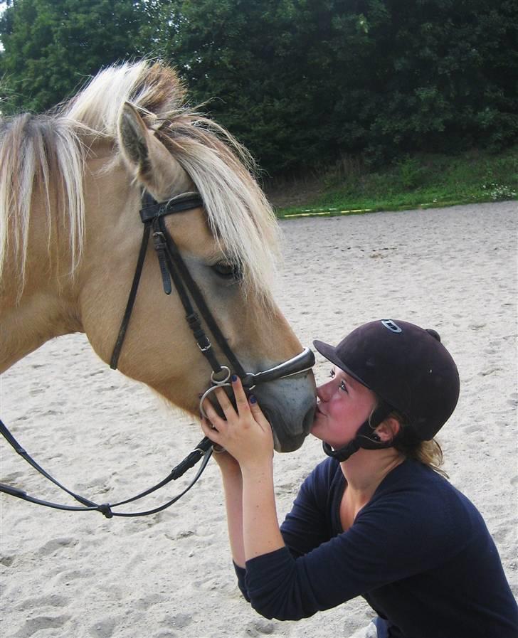 Fjordhest {den bedste} Oscar  - MØØØØS<3 billede 8