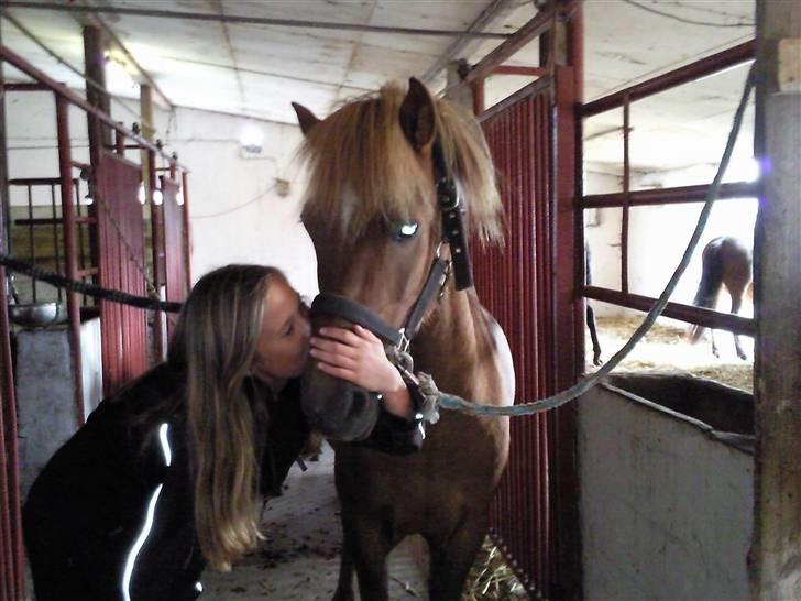 Islænder Yggdrasil fraS. Bóthildur - Billede 7 jeg og Ygge <3 billede 5