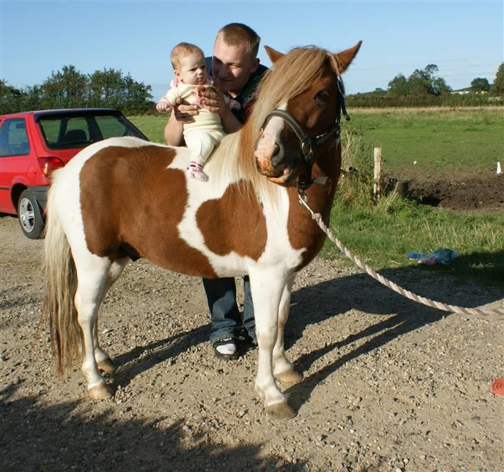 Anden særlig race *PlayBoy Solgt:'( billede 1