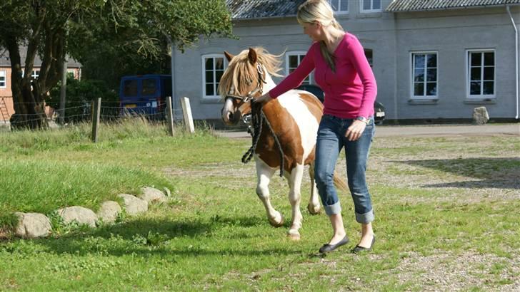 Anden særlig race *PlayBoy Solgt:'( billede 5