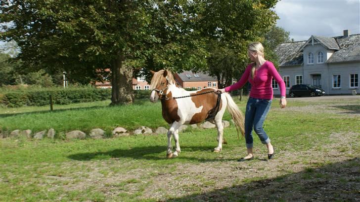 Anden særlig race *PlayBoy Solgt:'( billede 6