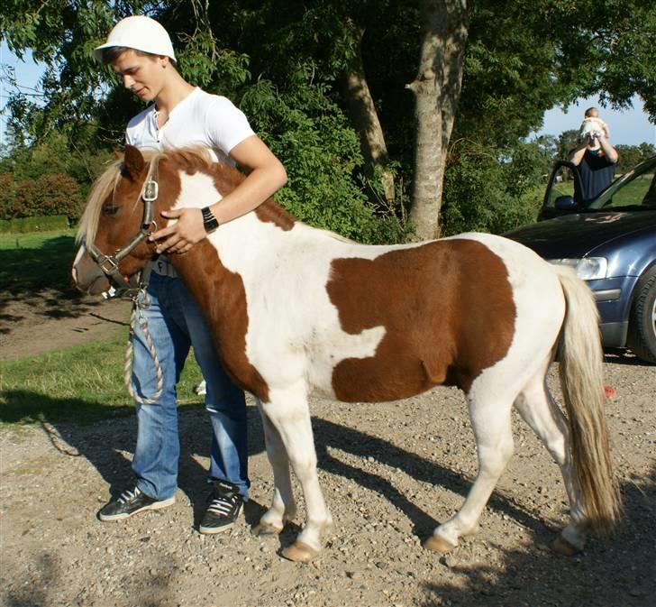 Anden særlig race *PlayBoy Solgt:'( billede 7