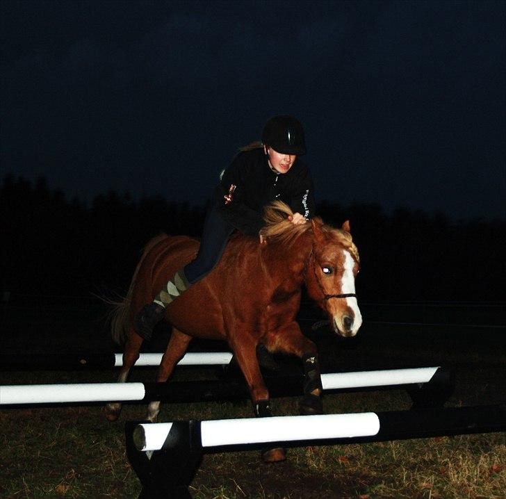 Hollandsk Sportspony Mads - Fine lille Mads! elsker dig!!<3  billede 10