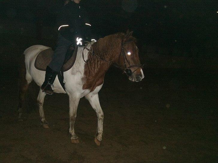 Pinto Spirit - min 2 sidste ridetur på spirit:`)  (har været ude og besøge ham en gang, hvor jeg også fik lov at ride ham lidt) billede 15