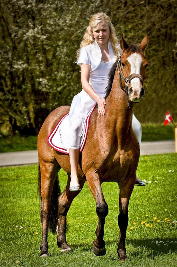 Anden særlig race Lady - fra min konfirmation billede 17
